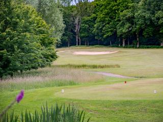 images/Courses/Hamptworth/hamptworth-golf-bunkers-1500x900.jpg